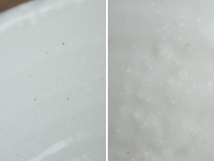 特大 さぬき丼ぶり